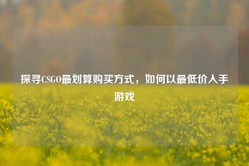 探寻CSGO最划算购买方式,如何以最低价入手游戏