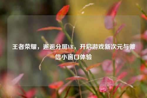 王者荣耀,邂逅分屏VR,开启游戏新次元与微信小窗口体验