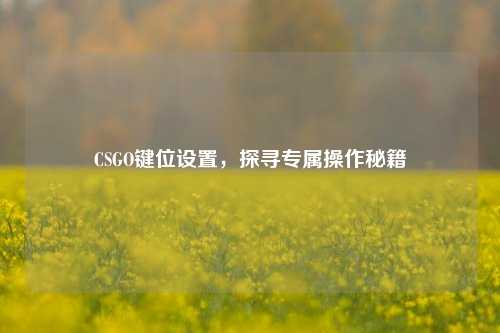 CSGO键位设置,探寻专属操作秘籍