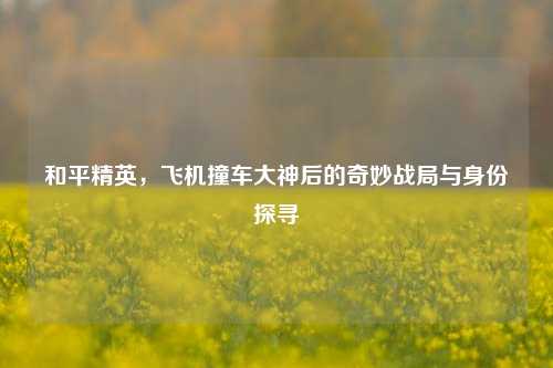 和平精英,飞机撞车大神后的奇妙战局与身份探寻