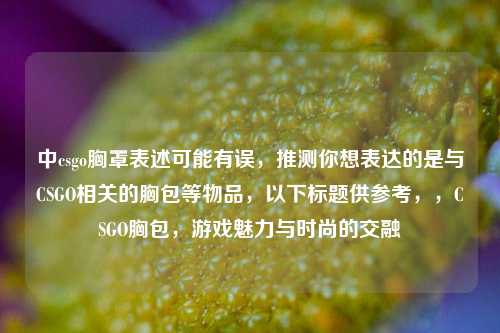 中csgo胸罩表述可能有误,推测你想表达的是与CSGO相关的胸包等物品,以下标题供参考,,CSGO胸包,游戏魅力与时尚的交融