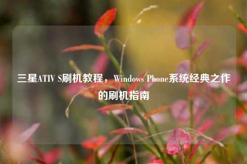 三星ATIV S刷机教程，Windows Phone系统经典之作的刷机指南