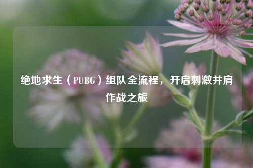 绝地求生（PUBG）组队全流程，开启刺激并肩作战之旅