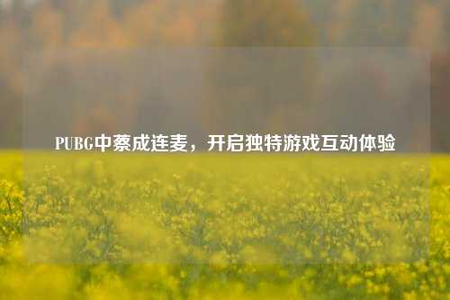 PUBG中蔡成连麦,开启独特游戏互动体验
