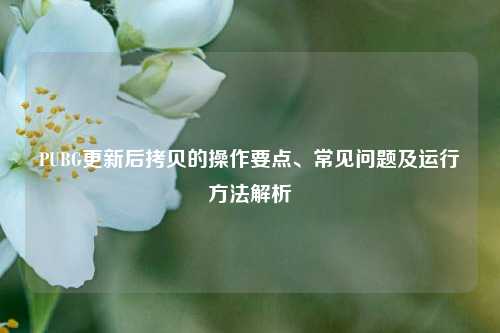 PUBG更新后拷贝的操作要点、常见问题及运行方法解析