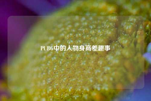 PUBG中的人物身高差趣事