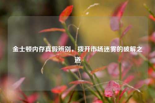 金士顿内存真假辨别,拨开市场迷雾的破解之道