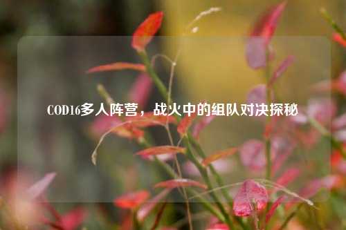 COD16多人阵营，战火中的组队对决探秘