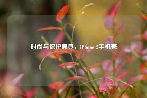 时尚与保护兼具,iPhone 5手机壳