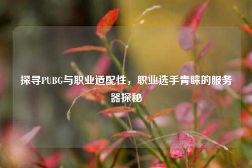 探寻PUBG与职业适配性，职业选手青睐的服务器探秘