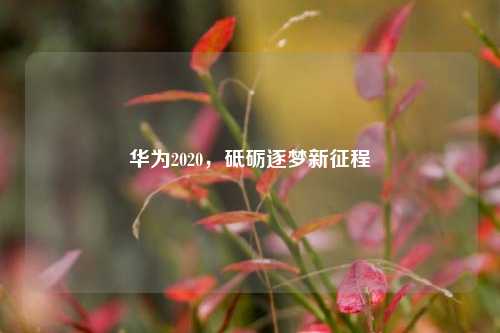 华为2020,砥砺逐梦新征程