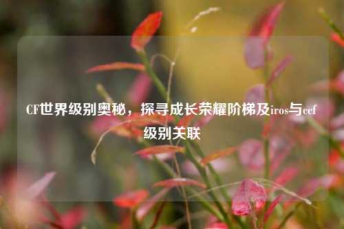CF世界级别奥秘，探寻成长荣耀阶梯及iros与ccf级别关联