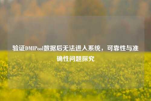 验证DMIPool数据后无法进入系统，可靠性与准确性问题探究