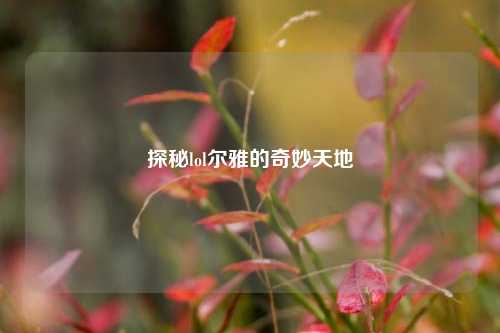 探秘lol尔雅的奇妙天地