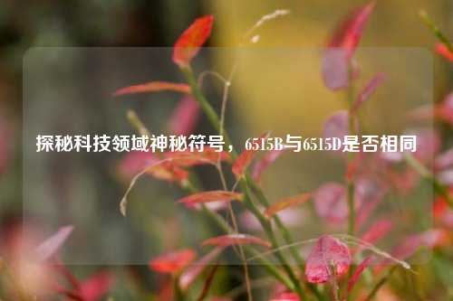探秘科技领域神秘符号,6515B与6515D是否相同