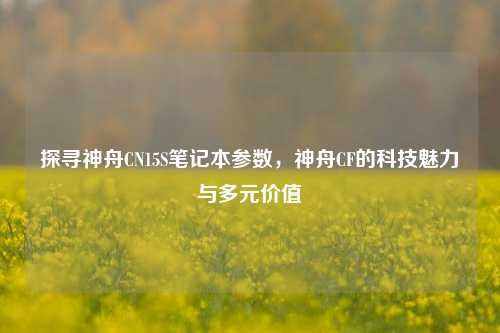 探寻神舟CN15S笔记本参数，神舟CF的科技魅力与多元价值
