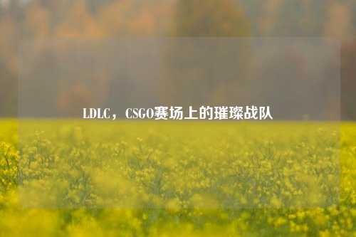 LDLC，CSGO赛场上的璀璨战队