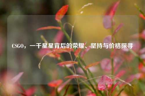 CSGO,一千星星背后的荣耀、坚持与价格探寻