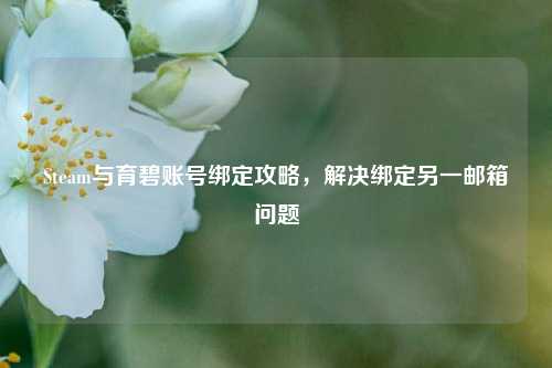 Steam与育碧账号绑定攻略，解决绑定另一邮箱问题