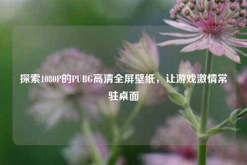 探索1080P的PUBG高清全屏壁纸,让游戏激情常驻桌面