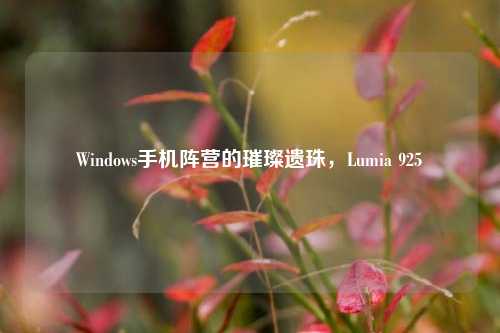 Windows手机阵营的璀璨遗珠，Lumia 925