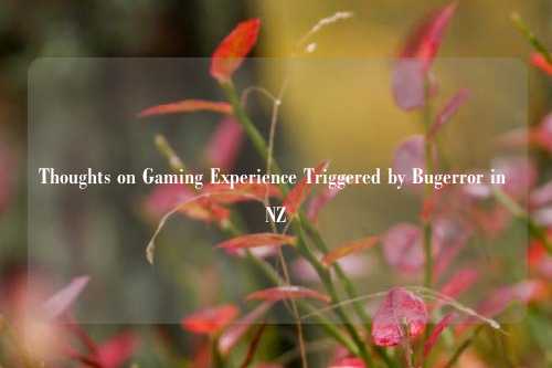 Thoughts on Gaming Experience Triggered by Bugerror in NZ