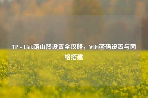 TP - Link路由器设置全攻略，WiFi密码设置与网络搭建