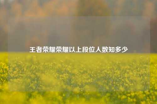 王者荣耀荣耀以上段位人数知多少