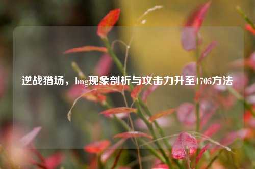 逆战猎场,bng现象剖析与攻击力升至1705方法