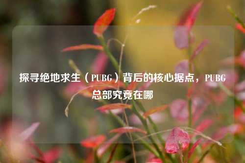 探寻绝地求生(PUBG)背后的核心据点,PUBG总部究竟在哪