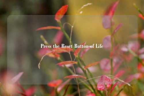 Press the Reset Button of Life