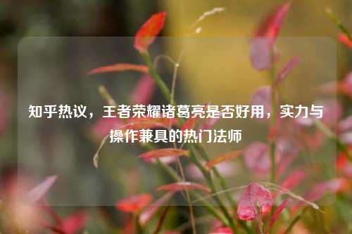 知乎热议,王者荣耀诸葛亮是否好用,实力与操作兼具的热门法师