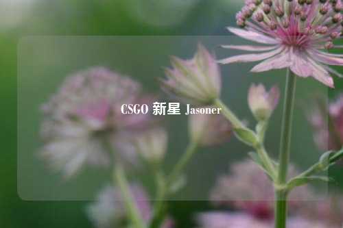 CSGO 新星 Jasoner