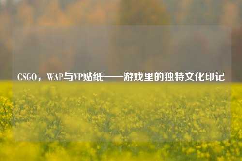 CSGO，WAP与VP贴纸——游戏里的独特文化印记
