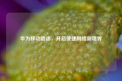 华为移动路由，开启便捷网络新境界