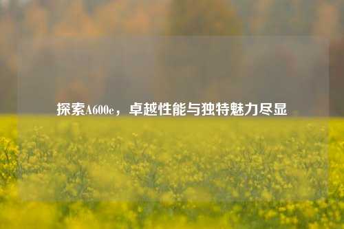 探索A600e，卓越性能与独特魅力尽显