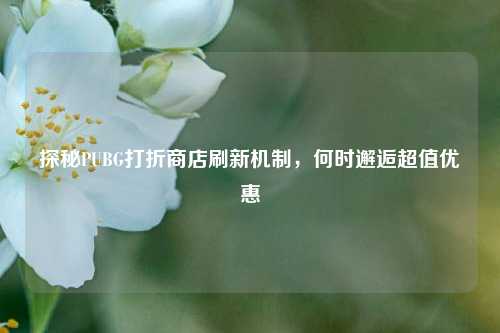 探秘PUBG打折商店刷新机制，何时邂逅超值优惠