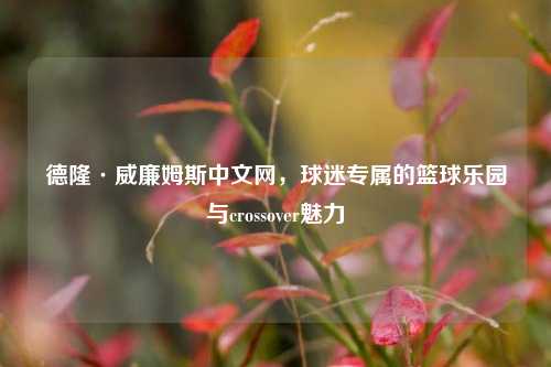 德隆·威廉姆斯中文网,球迷专属的篮球乐园与crossover魅力