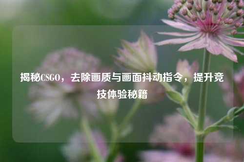 揭秘CSGO,去除画质与画面抖动指令,提升竞技体验秘籍