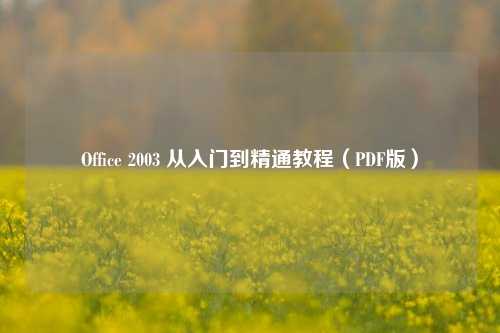 Office 2003 从入门到精通教程（PDF版）