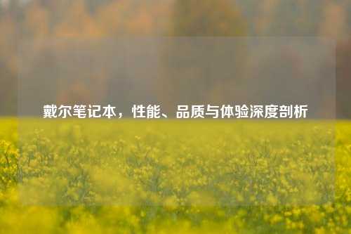 戴尔笔记本,性能、品质与体验深度剖析