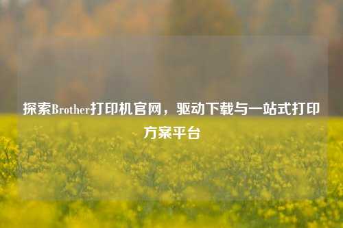 探索Brother打印机官网，驱动下载与一站式打印方案平台