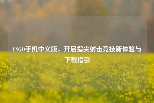 CSGO手机中文版,开启指尖射击竞技新体验与下载指引