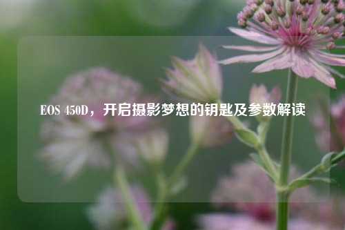 EOS 450D，开启摄影梦想的钥匙及参数解读