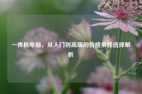 一体机电脑,从入门到高端的价格多样选择解析
