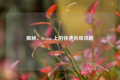 揭秘，Steam 上的快速升级攻略