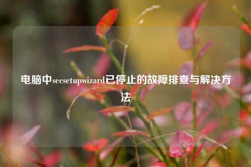 电脑中secsetupwizard已停止的故障排查与解决方法