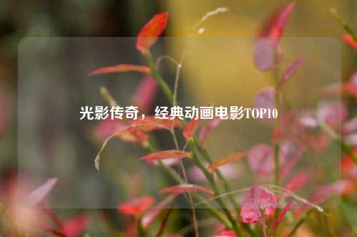 光影传奇，经典动画电影TOP10