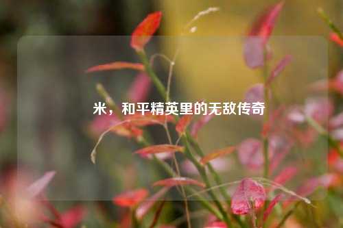 粙米,和平精英里的无敌传奇