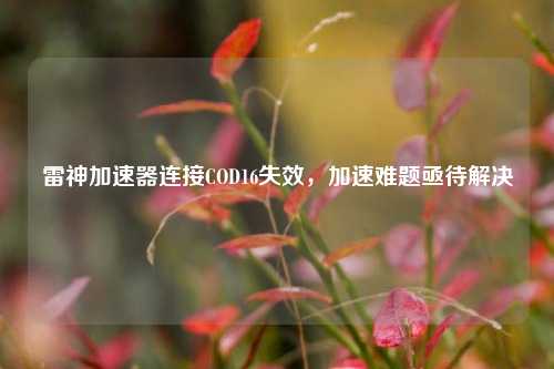 雷神加速器连接COD16失效，加速难题亟待解决